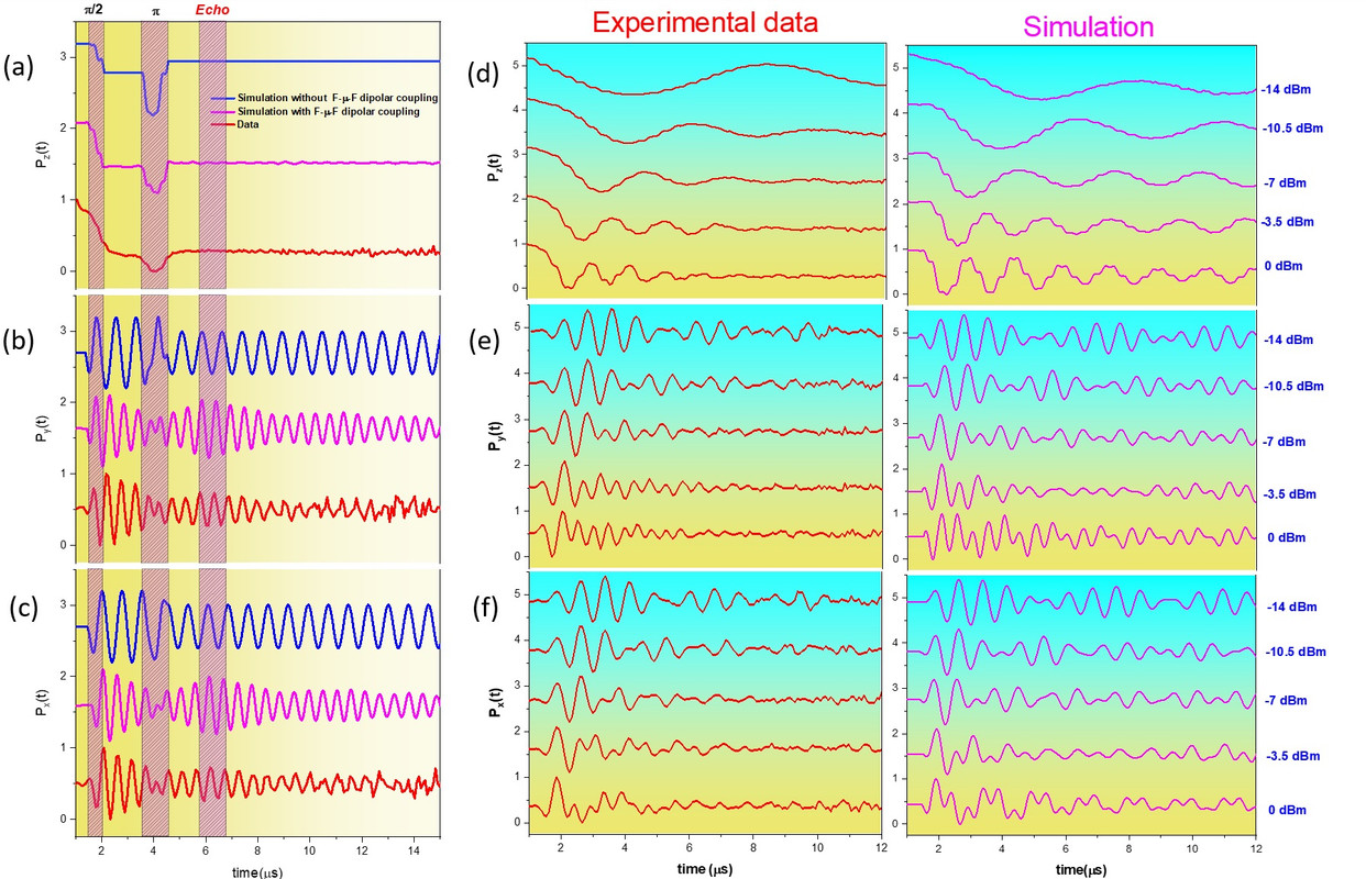 (a–f) Muon polarisation (data and simulation) for the Hahn-echo sequence, showing echoes in $z$ and $xy$ at 4 dBm (a–c) and varying RF powers (d–f)