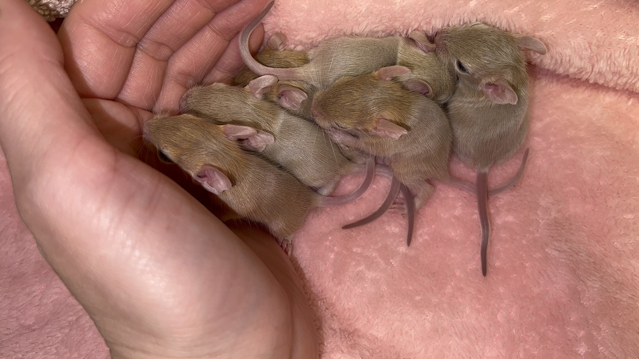 A9A88CD3-23C2-4A10-B10B-8E7F13F3FD8E