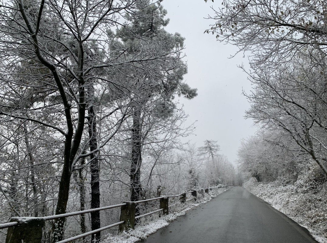 F787D3CA-E033-4BA0-B04A-5EAB94DCB27F