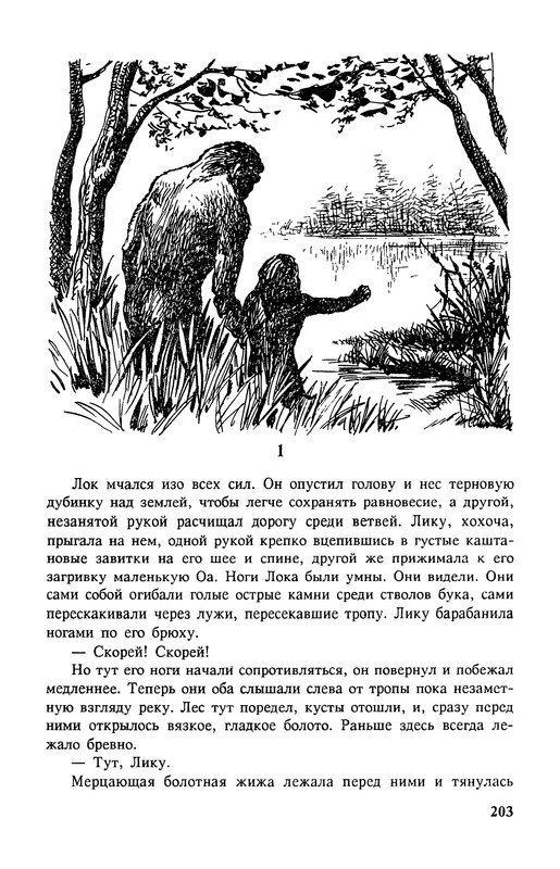 p0205
