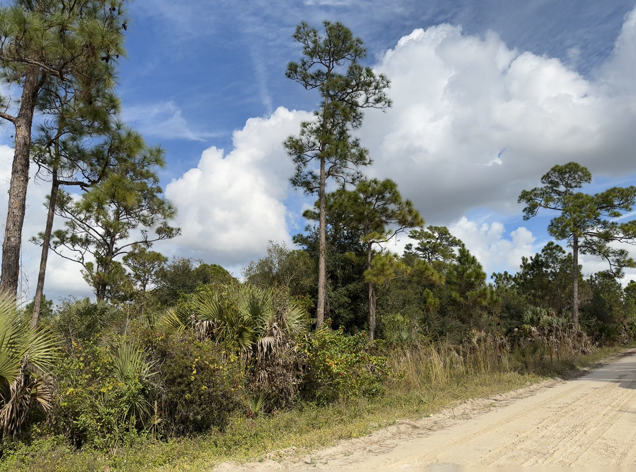 [Image: South-Of-Lake-Okee-Chobee13.png]