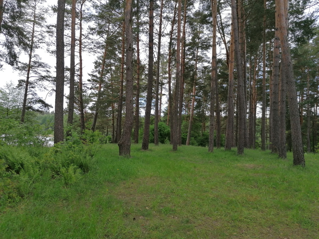 03.14 - IMG_20210601_111758 (Czesio1)