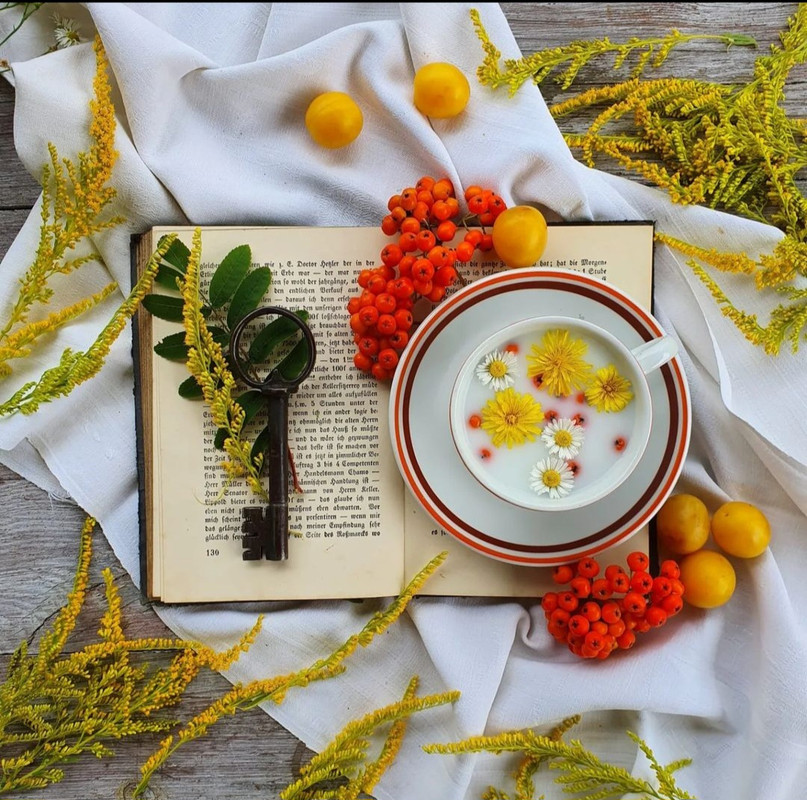 Screenshot_20240119_120704_Instagram