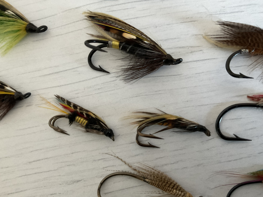 C11F4318-B499-400E-9B6F-41E06E23294B