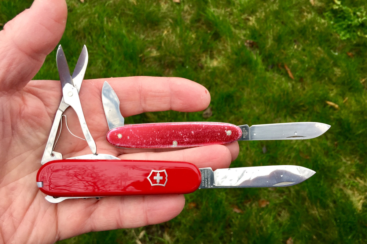 20C68635-28FF-4005-8F03-CF8130C3E694