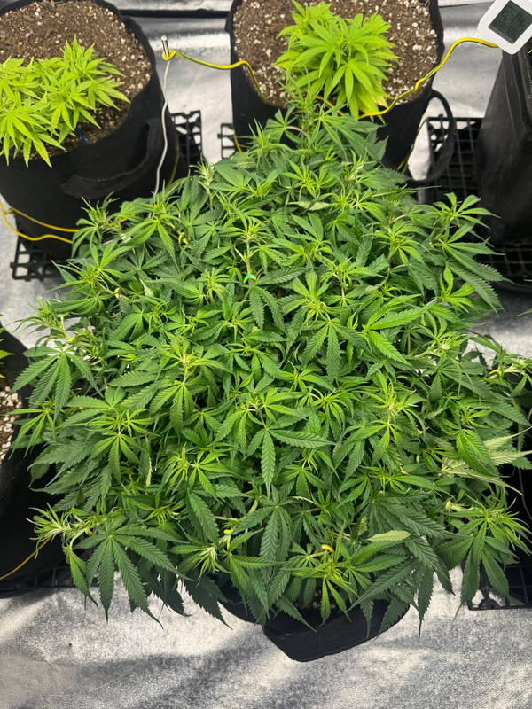 photo 2026 02 12 00 48 26