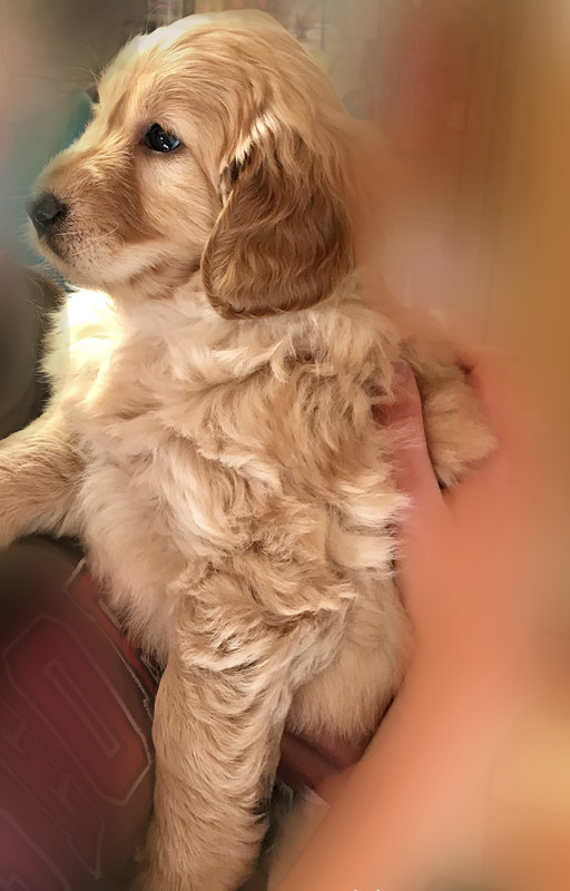 334A4208-FCB5-4BED-881C-577253AB31AA