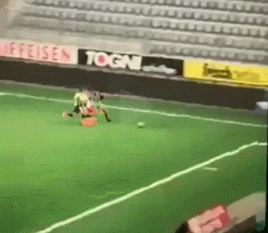 daily-gifdump-3400-05.gif