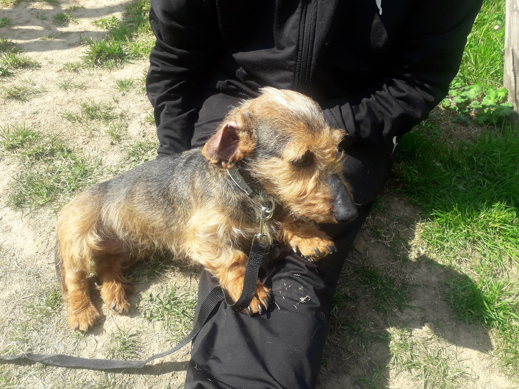 [Image: 20210502-161418.jpg]