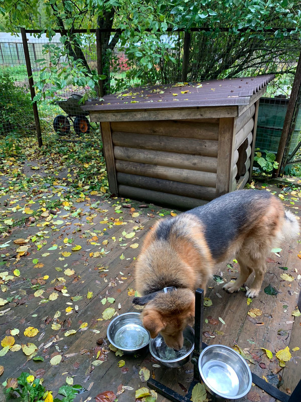 3F9E38FC-37EA-47A1-B69A-81A5D48FC02D