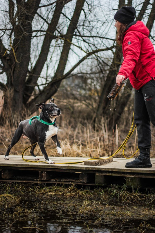 без имени-0482