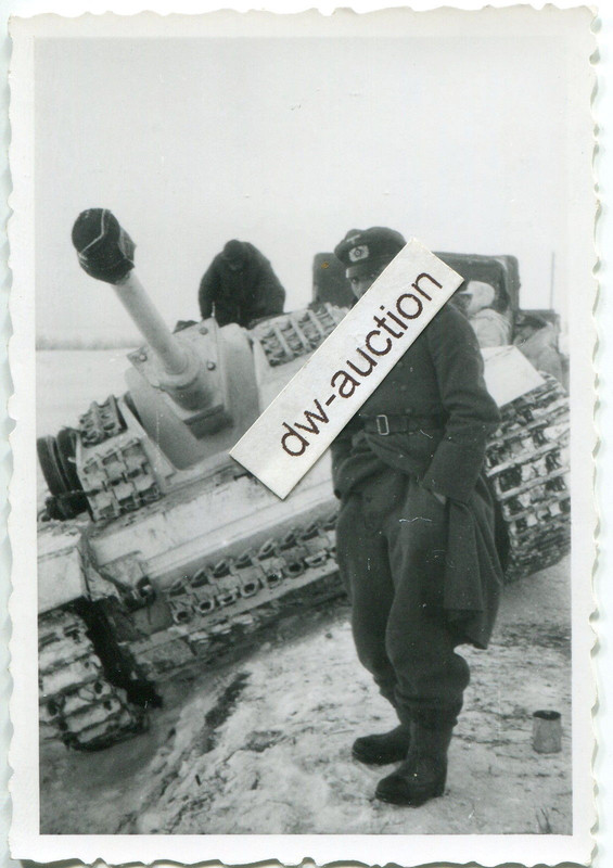 Sturmgeschütz Langrohr mit weißem Tarnanstrich i