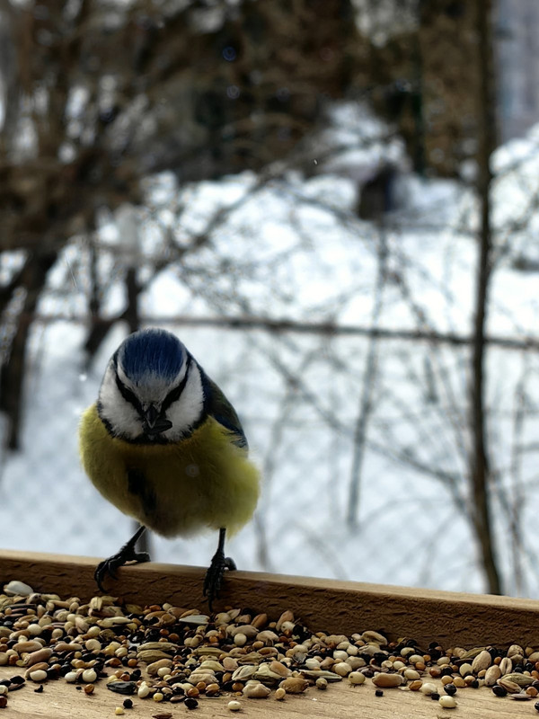 изображение_viber_2024-04-07_09-12-02-485