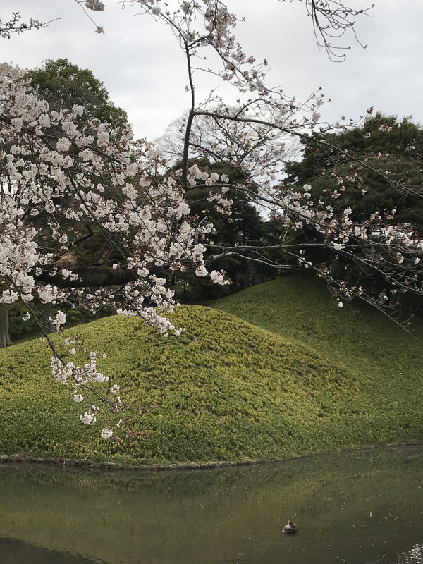 421E8AF2-4FBB-4C26-B360-3F1F5AE5BCCC