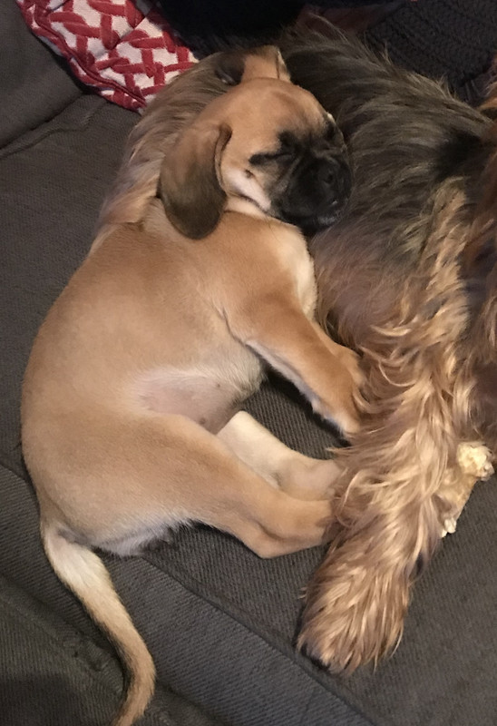 6D8109C7-26FD-401A-AD1E-34FE72BCDAA9