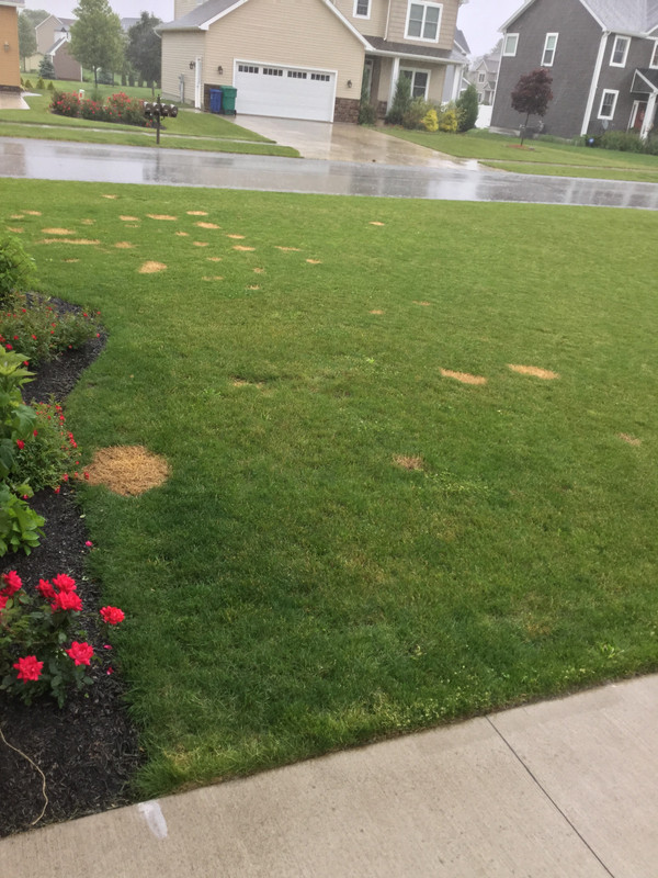 069794DB-2A7A-4813-8255-3120C327841D