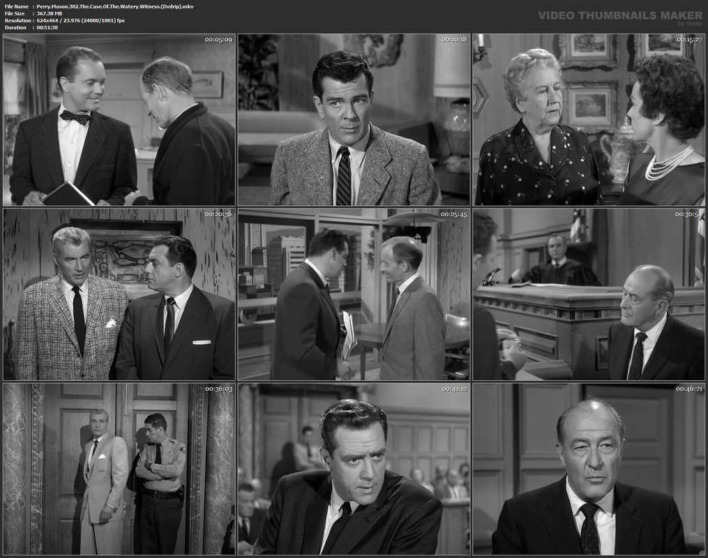 Perry.Mason.302.The.Case.Of.The.Watery.Witness.(Dvdrip).mkv