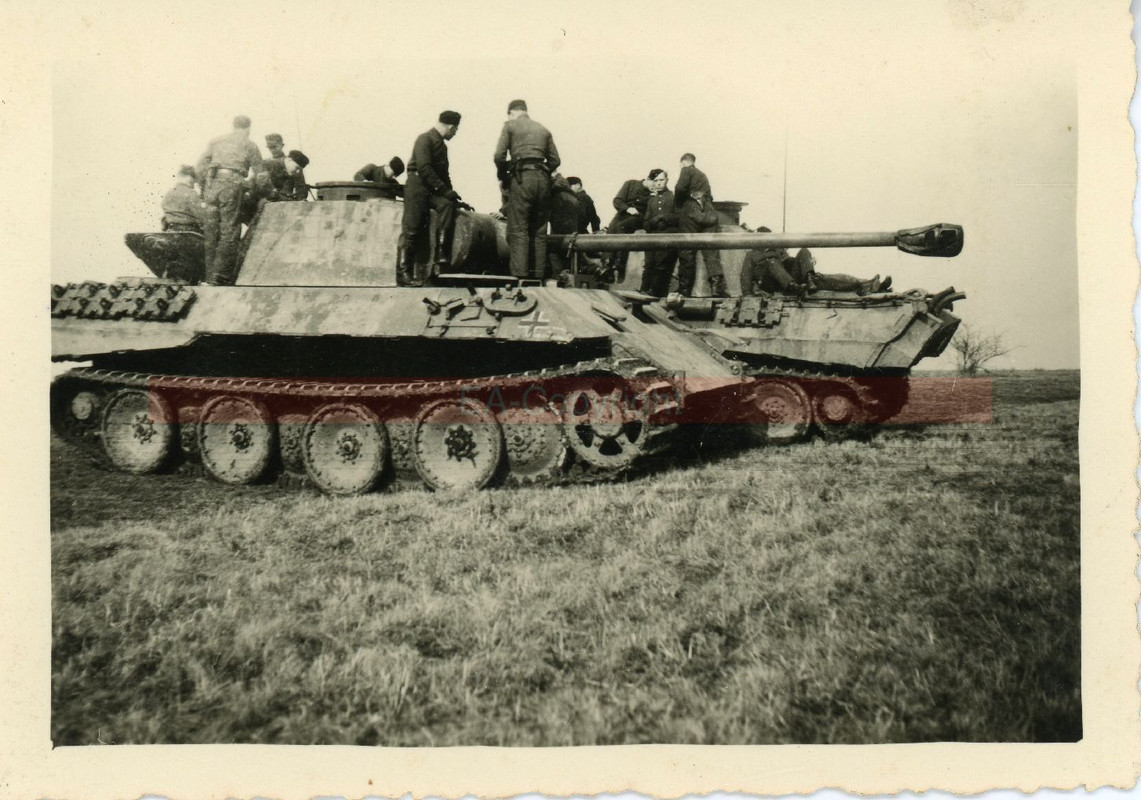 Panther Panzer Tank kämpfe Russland Foto