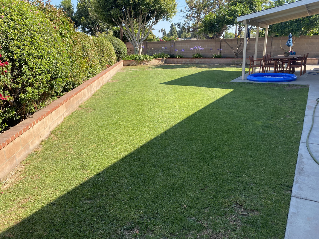 F4780FBA-8538-414C-BA4A-E1A6E362196A