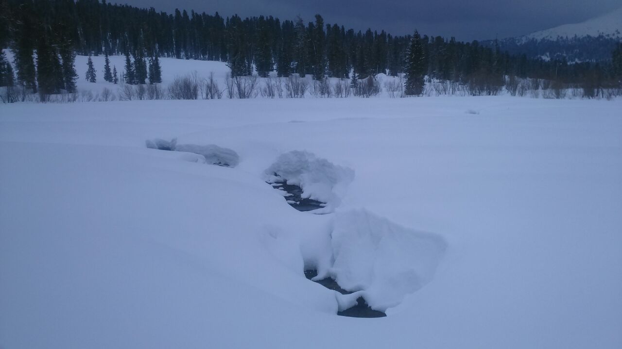 IMG_20190528_220401_352