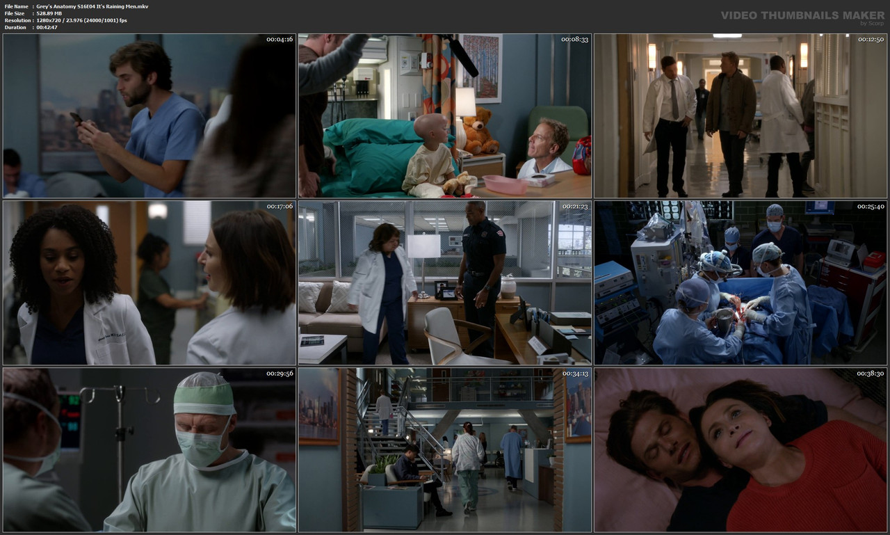 Grey's Anatomy S16E04 It's Raining Men.mkv