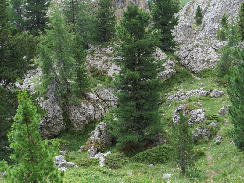 https://i.postimg.cc/QtfQ1fWL/288-IMG-1859.jpg