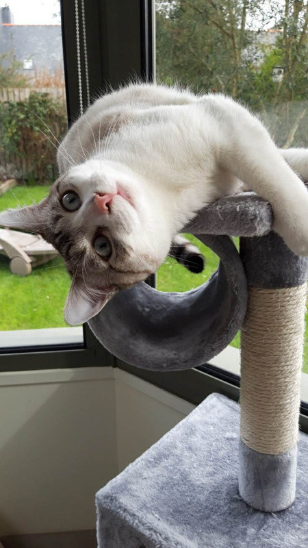 received_510191421292240