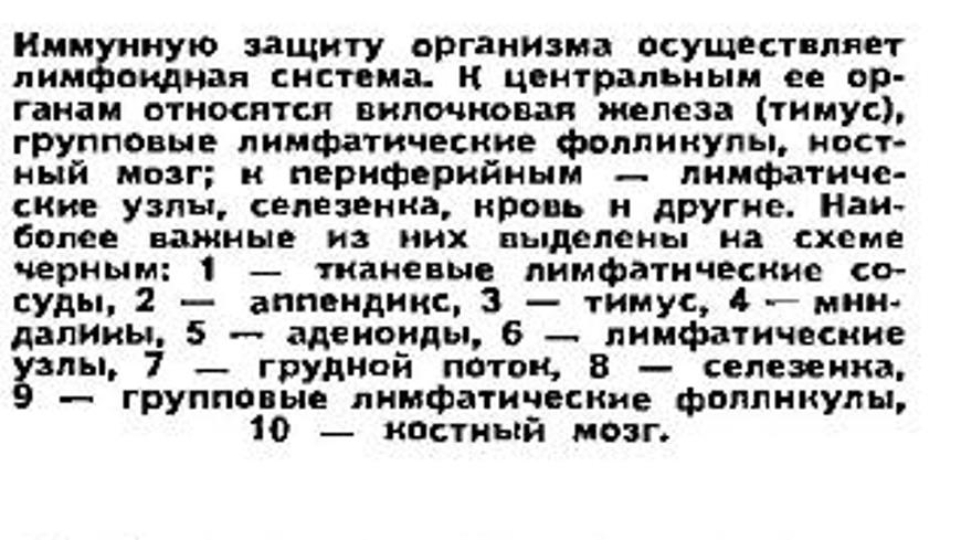 https://i.postimg.cc/Qtg9Pwtn/Kia6-Ktazee-Ow-X-9.jpg