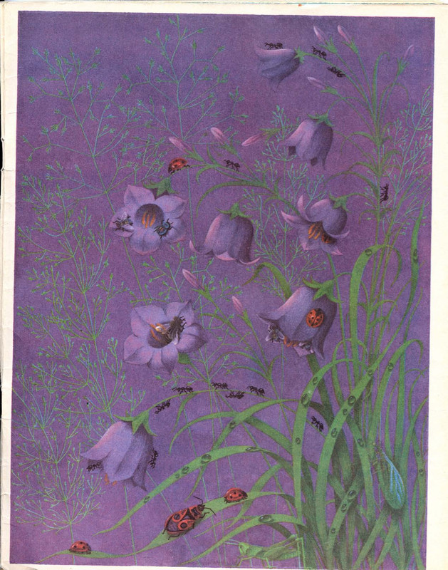 Mogilevskaja-Sofa-Sem-raznocvetnyh-skazok-1981-16