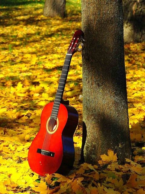 redguitar.jpg