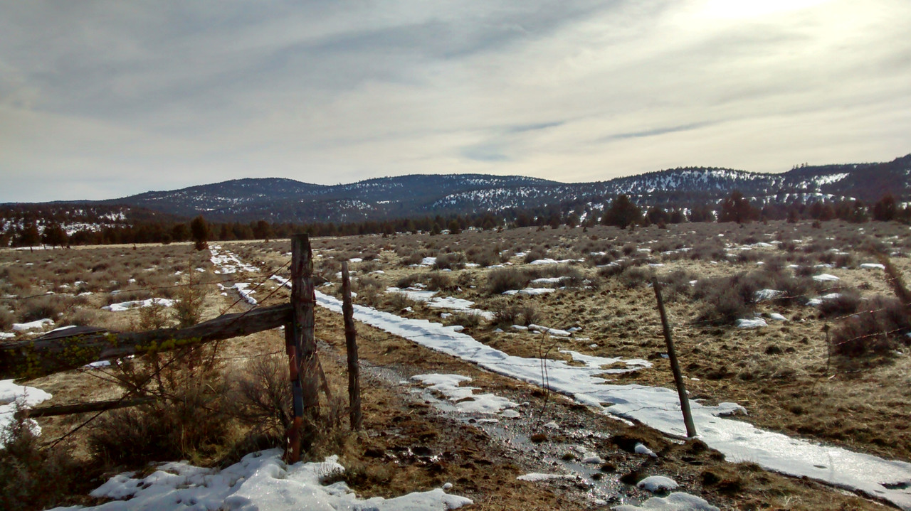 Gate to the backyard