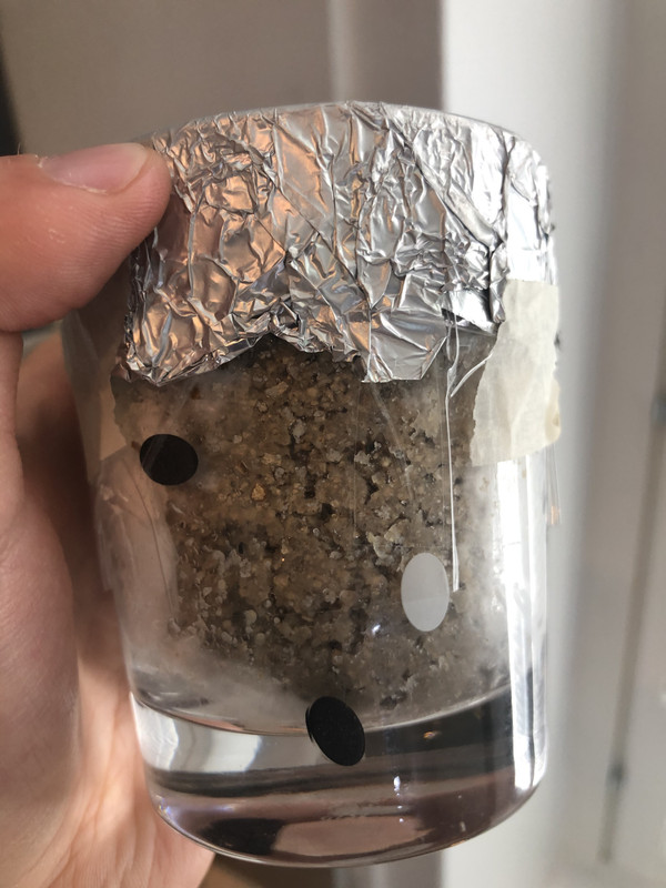 09F6A4B5-0B84-42A7-9F52-C43318FD08E7