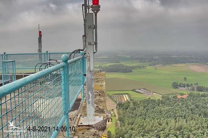campics vanaf 1 juli © VWGGemert en bonusjes van ter plekke - Pagina 23 5