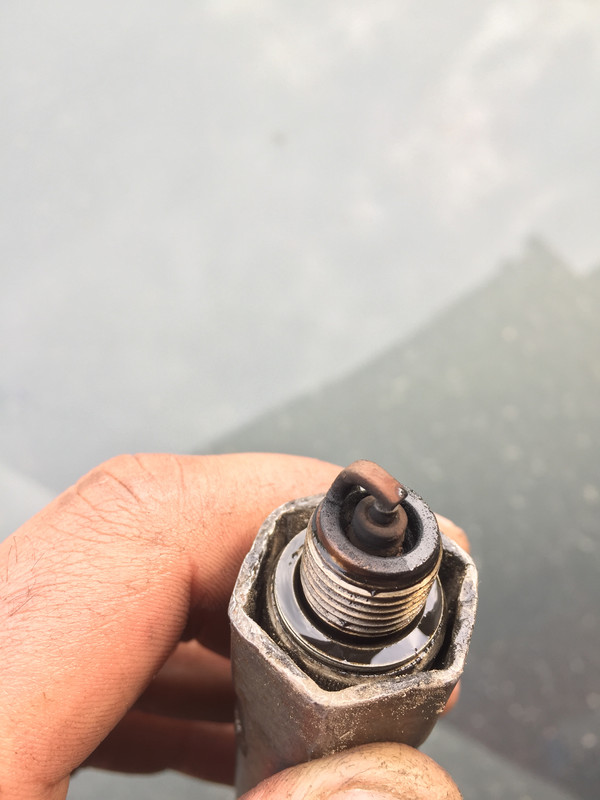 E6391A21-2B2E-4C84-B981-7E4A839ED382