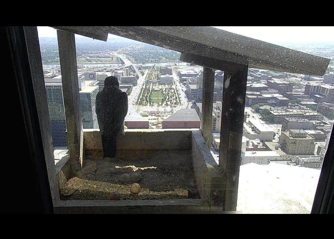 EA106406-A424-4135-8E5C-620A6437E8FD