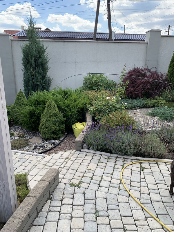 C9538B64-52BC-4C96-8425-C2B7B2C452E9