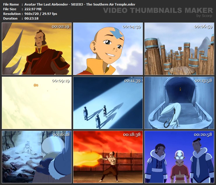 Avatar The Last Airbender - S01E03 - The Southern Air Temple.mkv