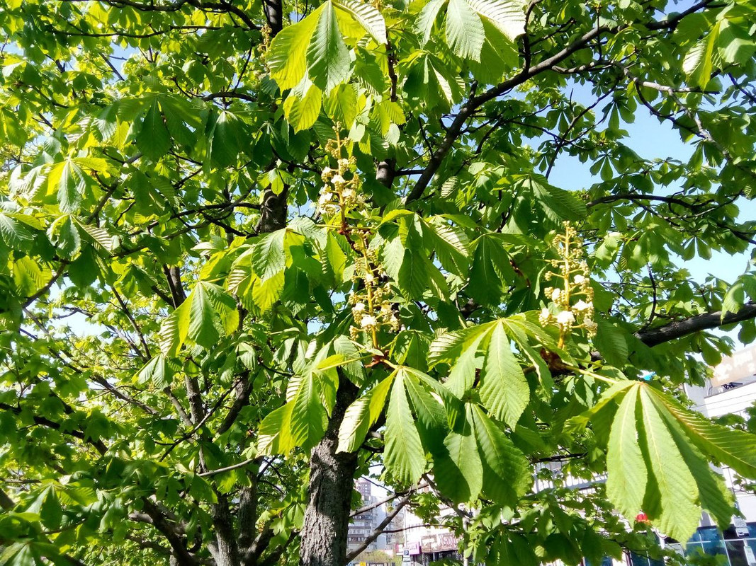 photo_2025-04-22 9.55.48 пп