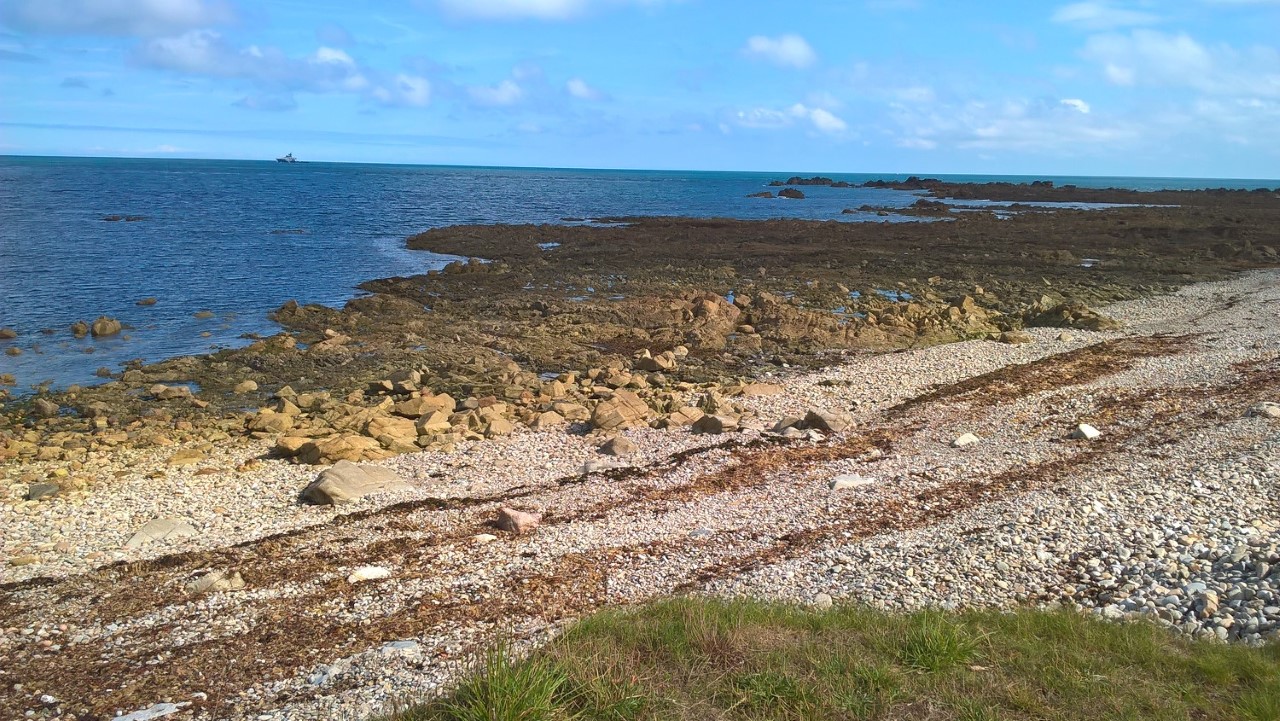 Fête la Manche!!! Cote-2