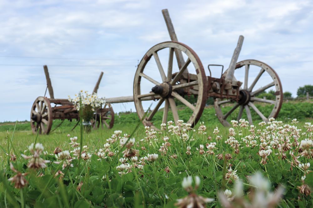 arcnakb31nuzxeq0iw5j5u7ewcsjuawi