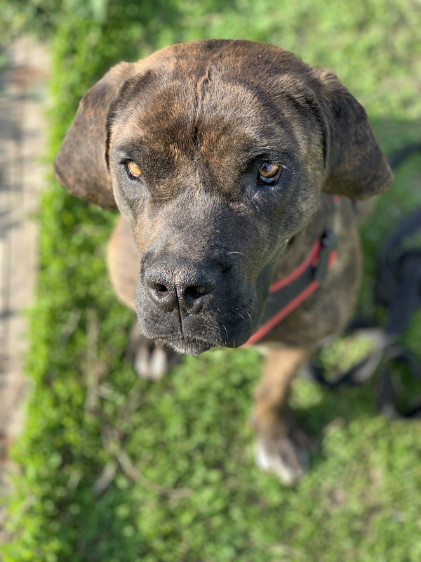 57A252C6-6FC7-4CFA-8377-FD86F6B3A0E3