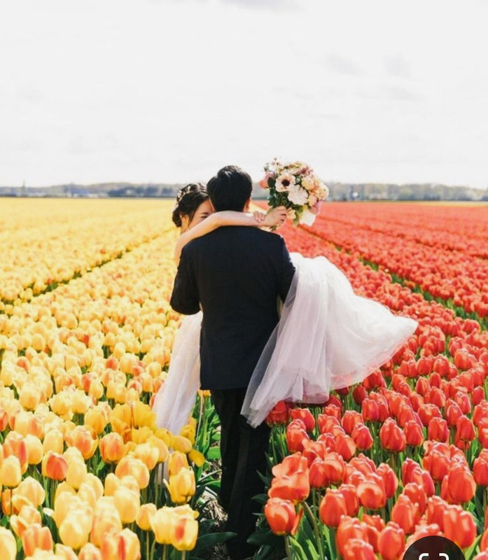 Screenshot_20230919_224607_Pinterest