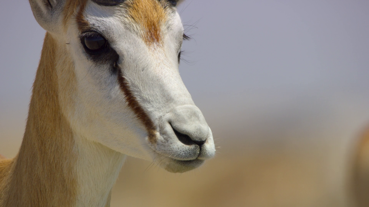 vlcsnap-2023-10-26-20h22m53s629