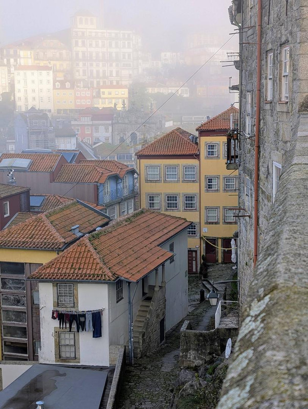 645341718 25574962425536720 6539729374057966038 n