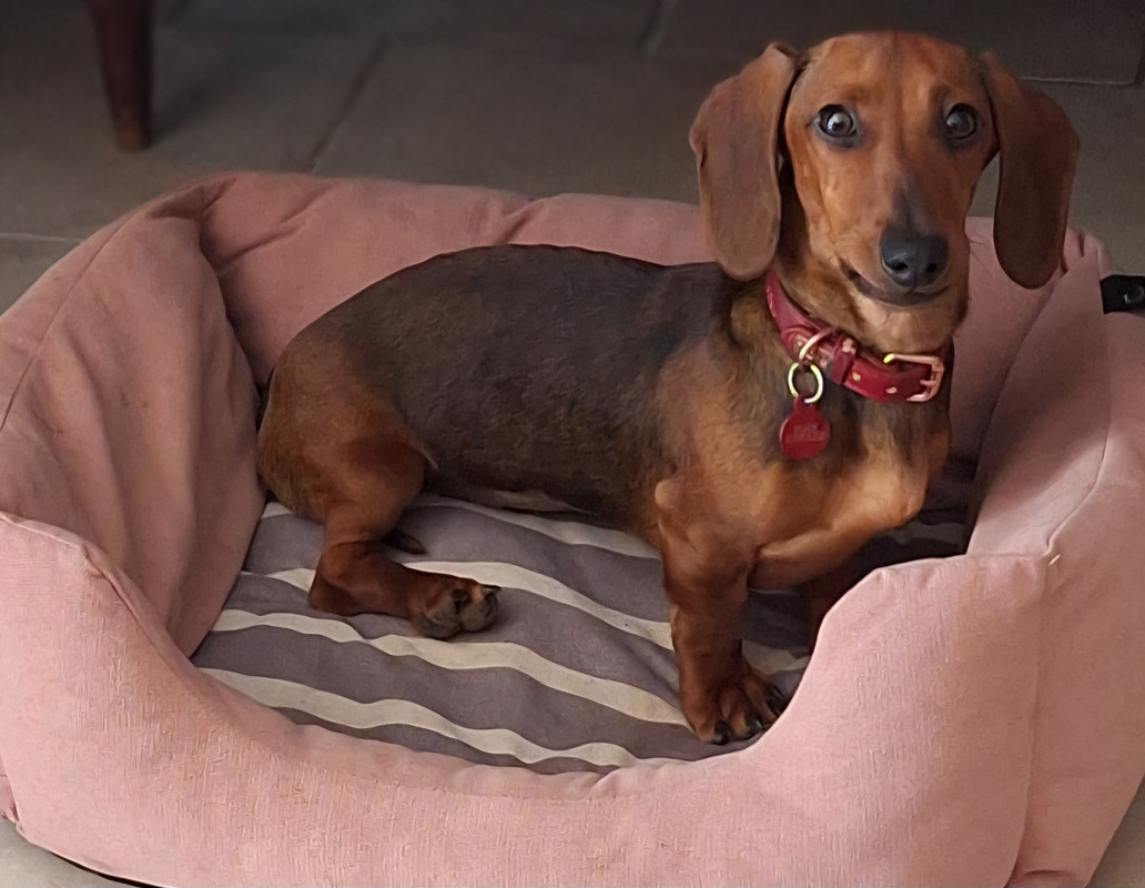 [Image: 20250408-153314.jpg]