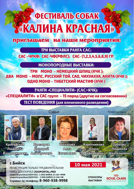 Нова бийск. За новый бийск плакаты.