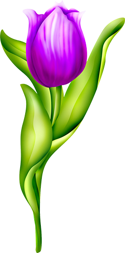 KBK_PrettyRabbit (39)