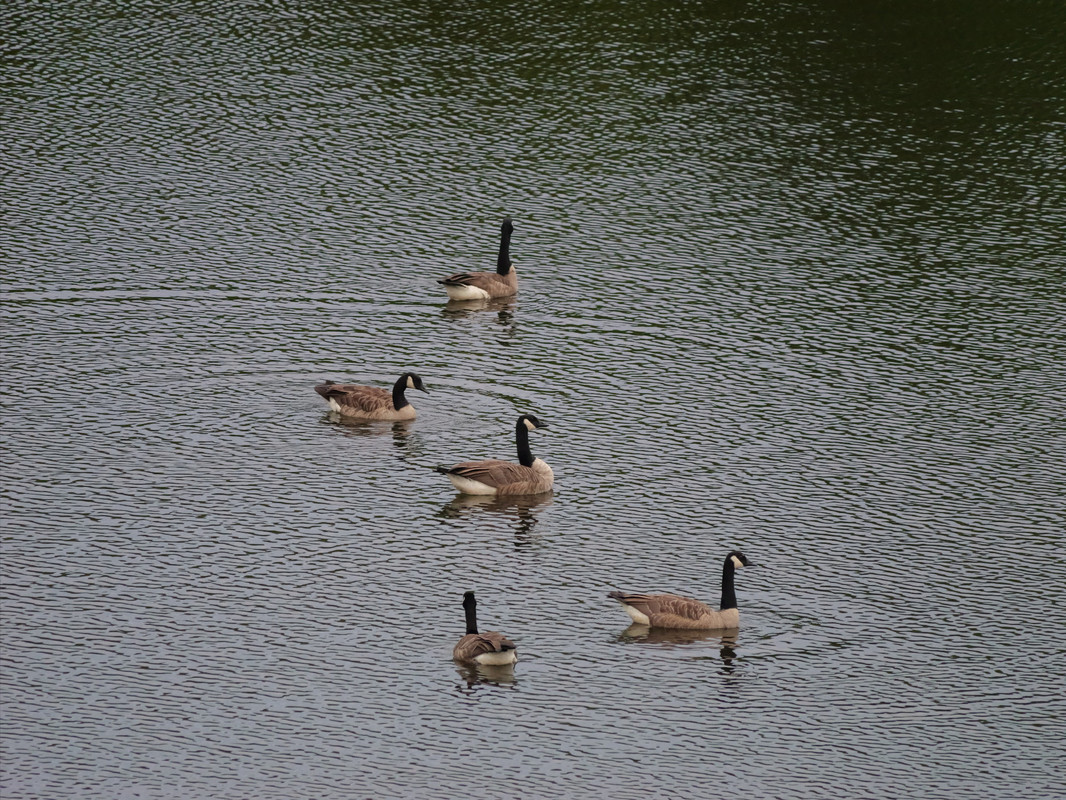 P1014676.jpg