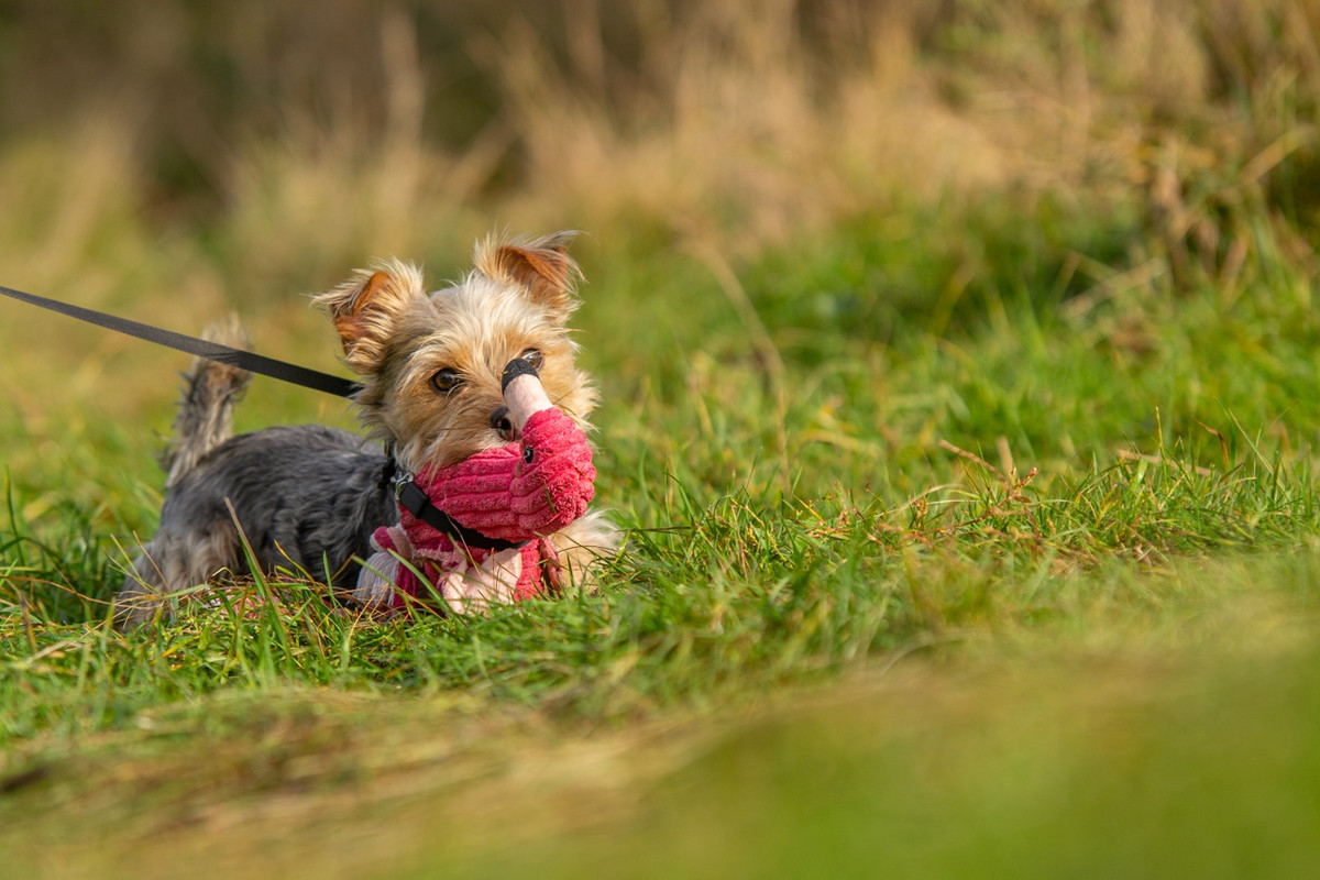 GThDsyAvC8554lxGMbPokpf5G-2kXkqDu1xi98JCQxOllotLYsDkvAG-6yIbFuItVBpzJd0dtmjmaNyivT5HEuIk