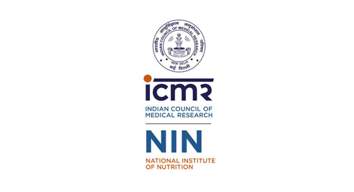 NIN Logo